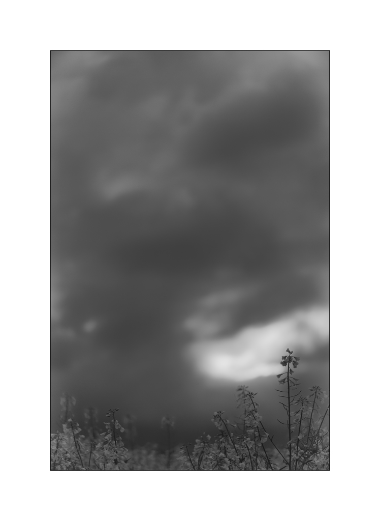 FarbePZ1 6094