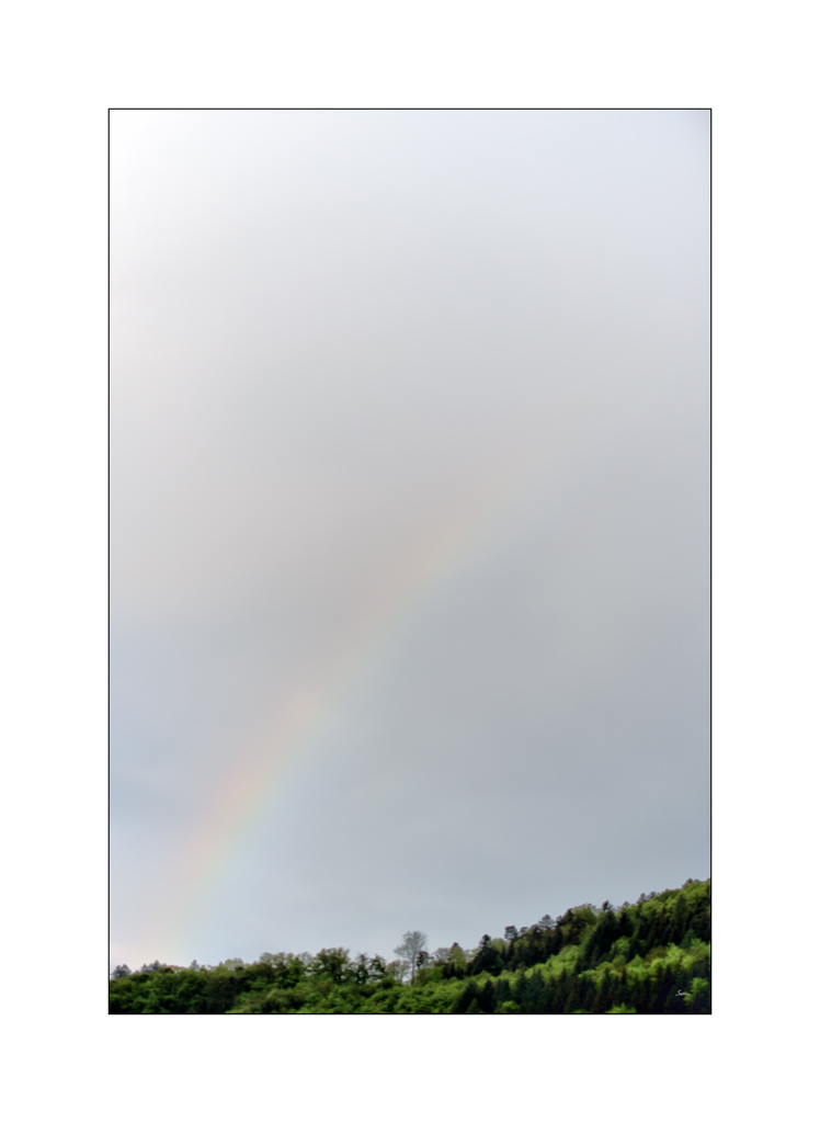 FarbePZ1 6101