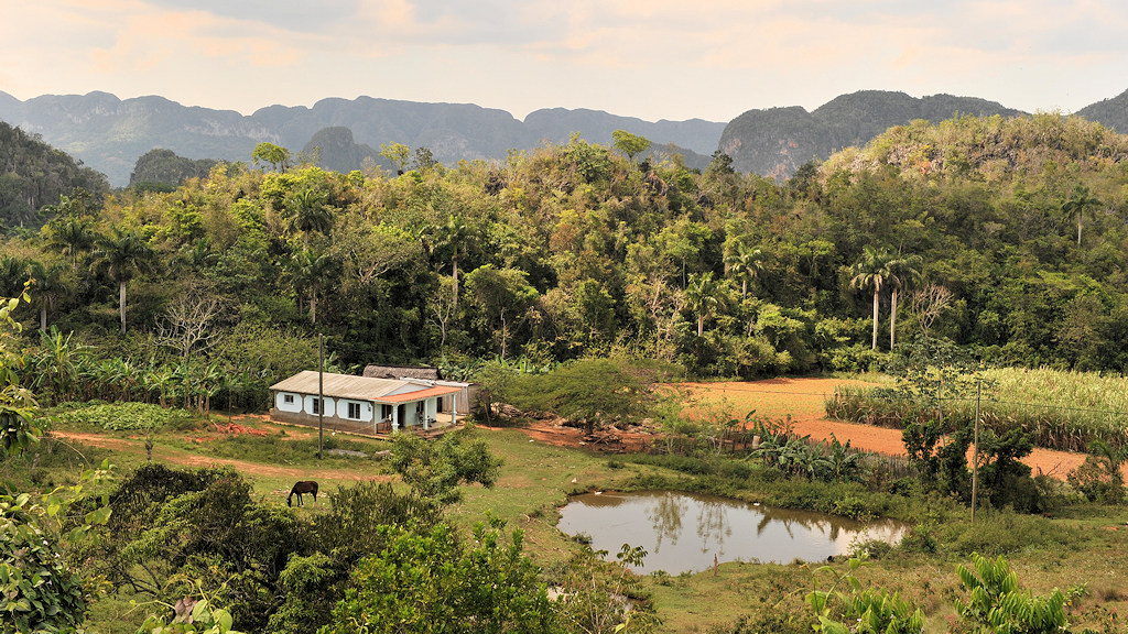 Farm im Valle de Vinales
6343