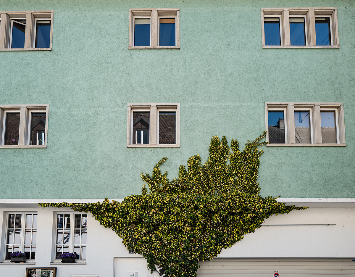 fassade.jpg