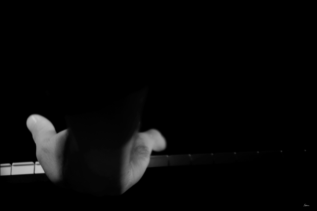 FDSC 3012