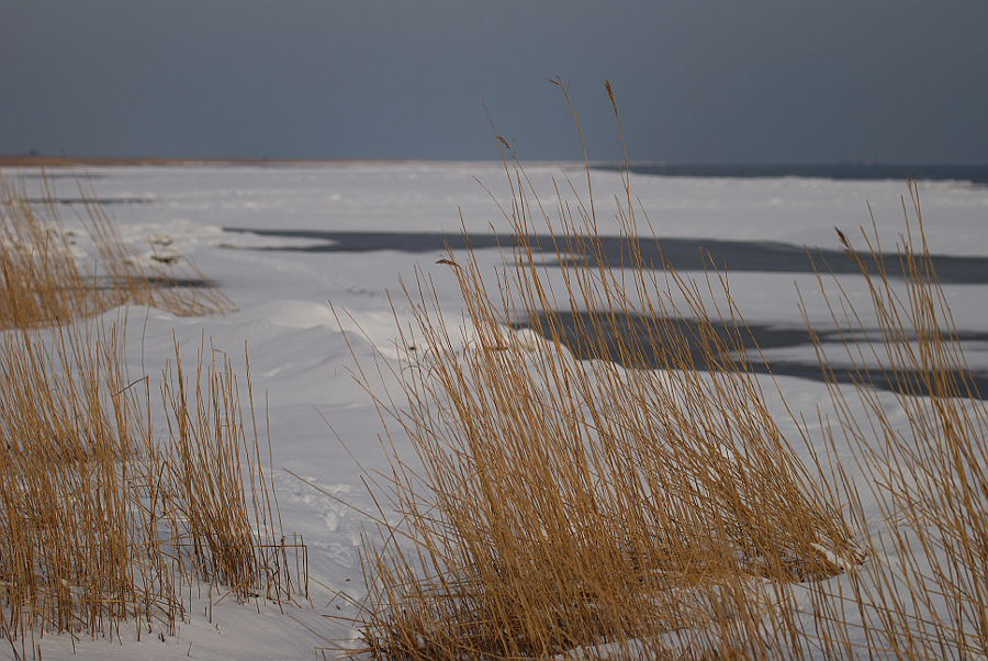 Februar 09
