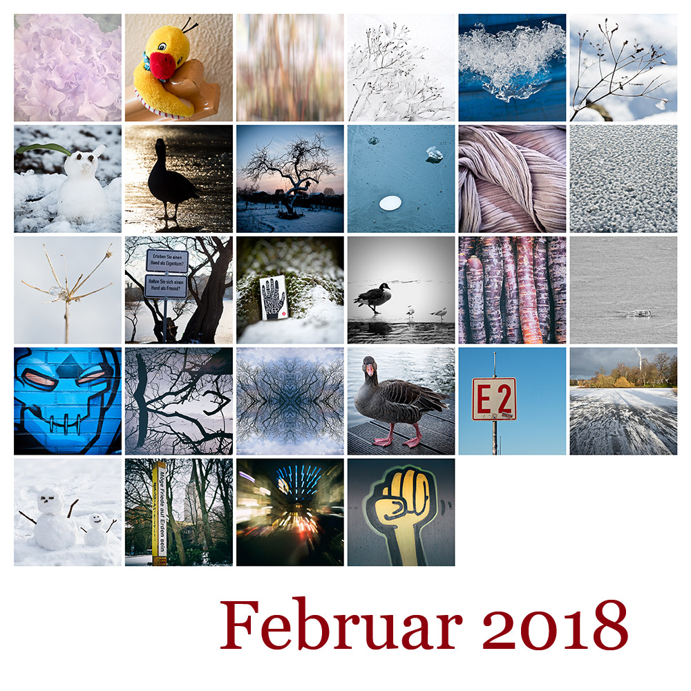 Februar 2018 Mosaik