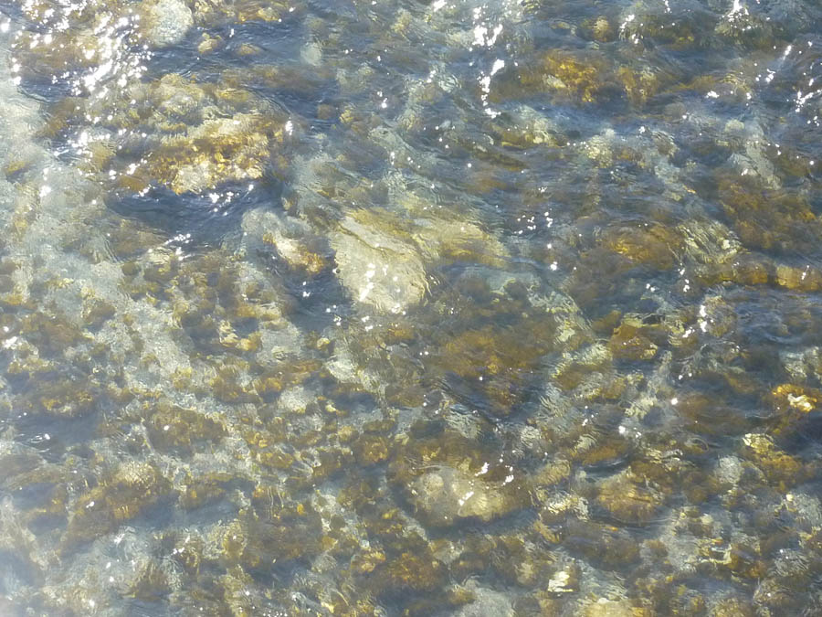 February 2011 / clear water