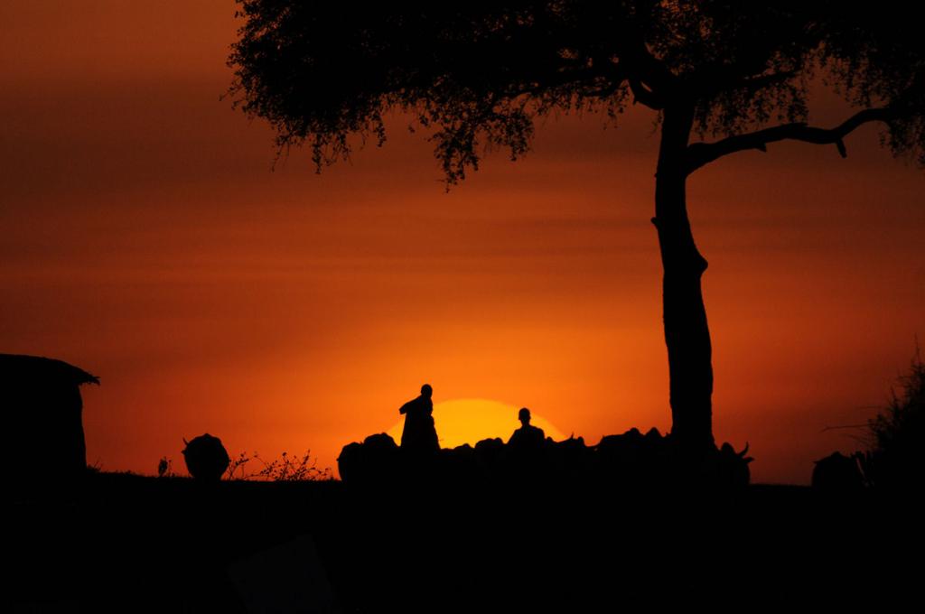 Feierabend
Die Masai ziehen mit ihrer Herde nach Hause.
(am Rand der Masai Mara)