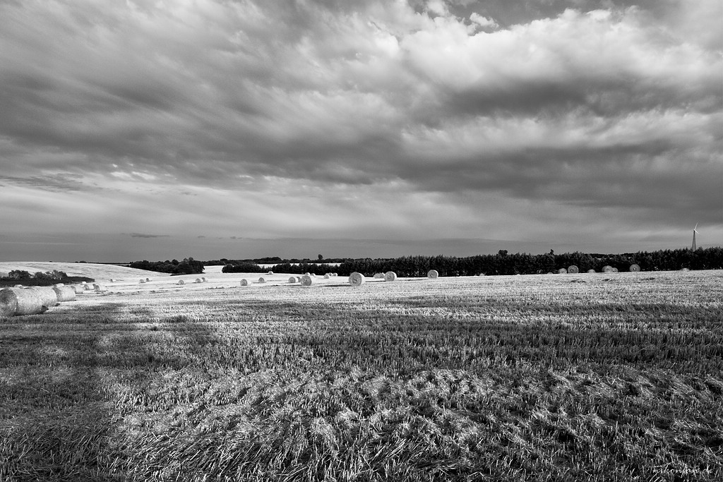 Feld Strohballen