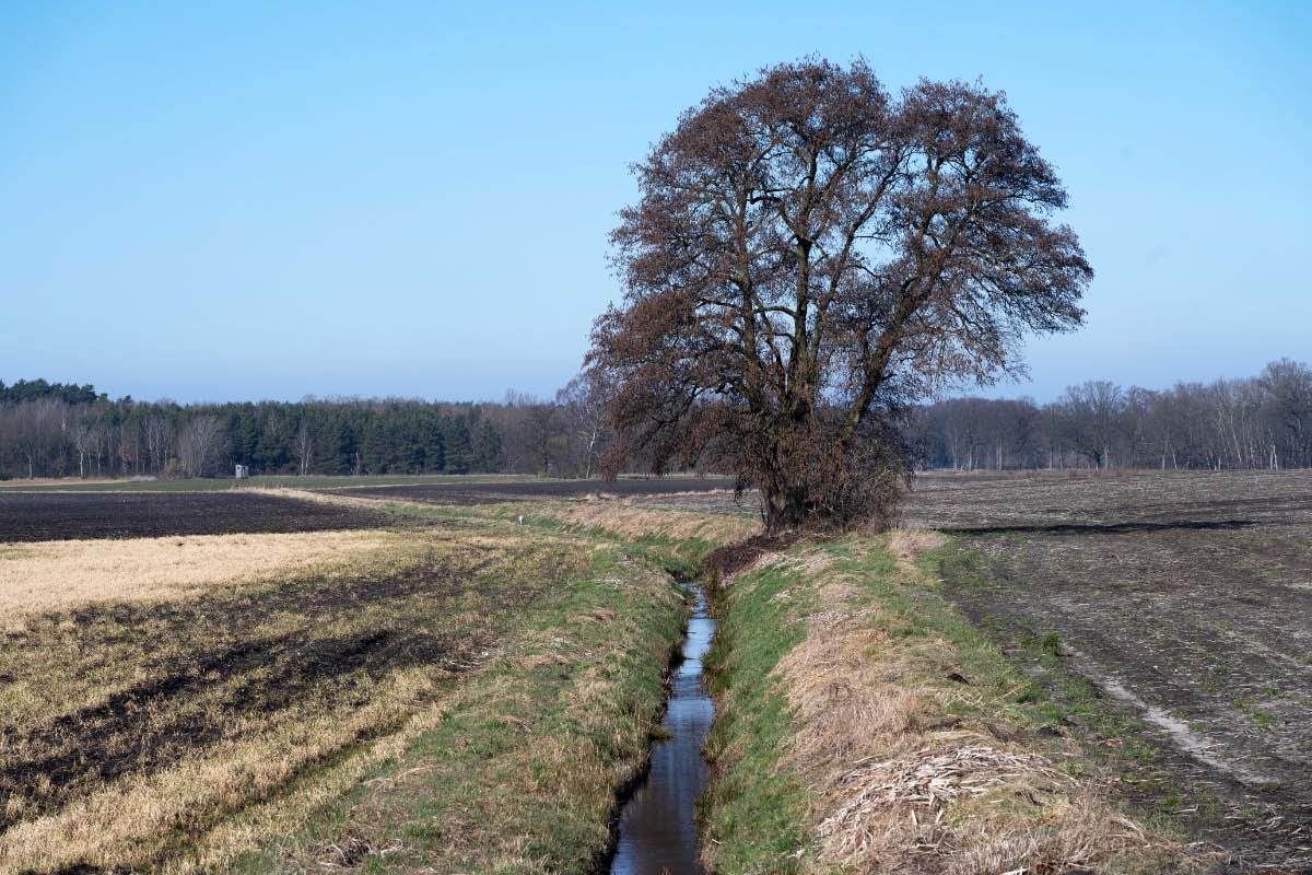 Felderle.jpg