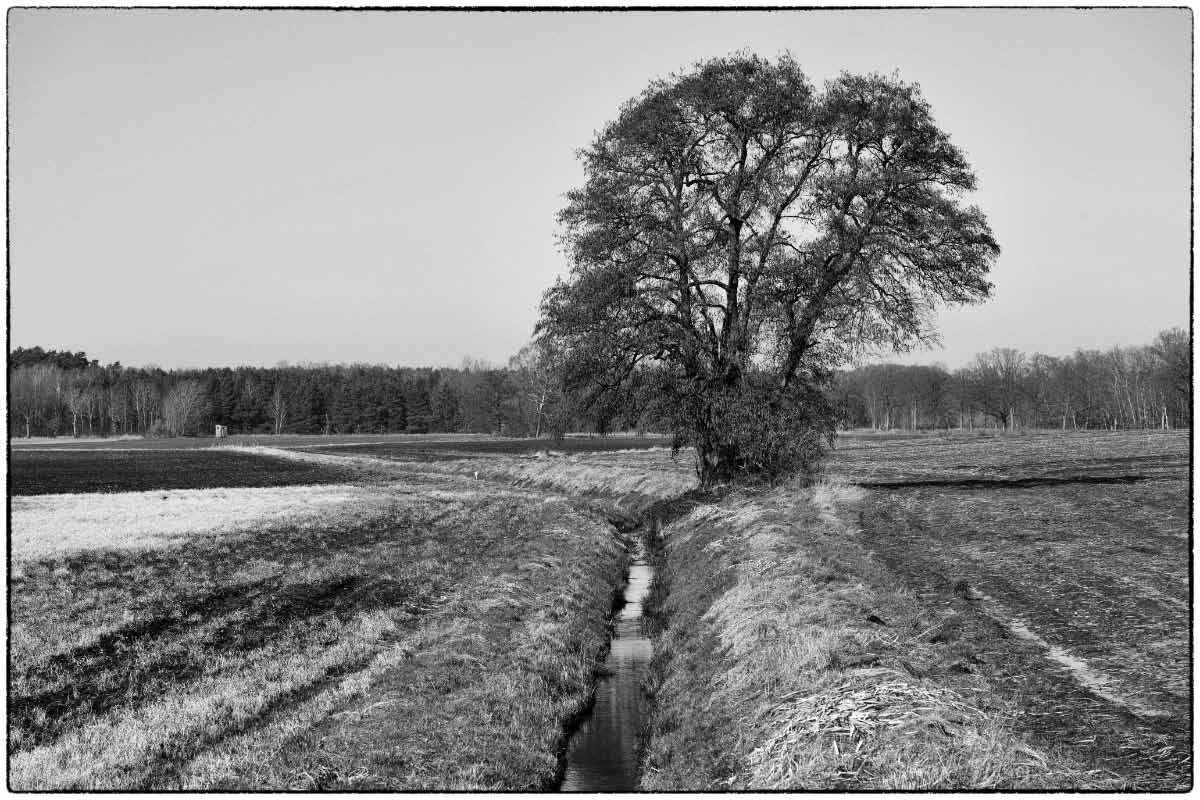 Felderle_BW_2.jpg