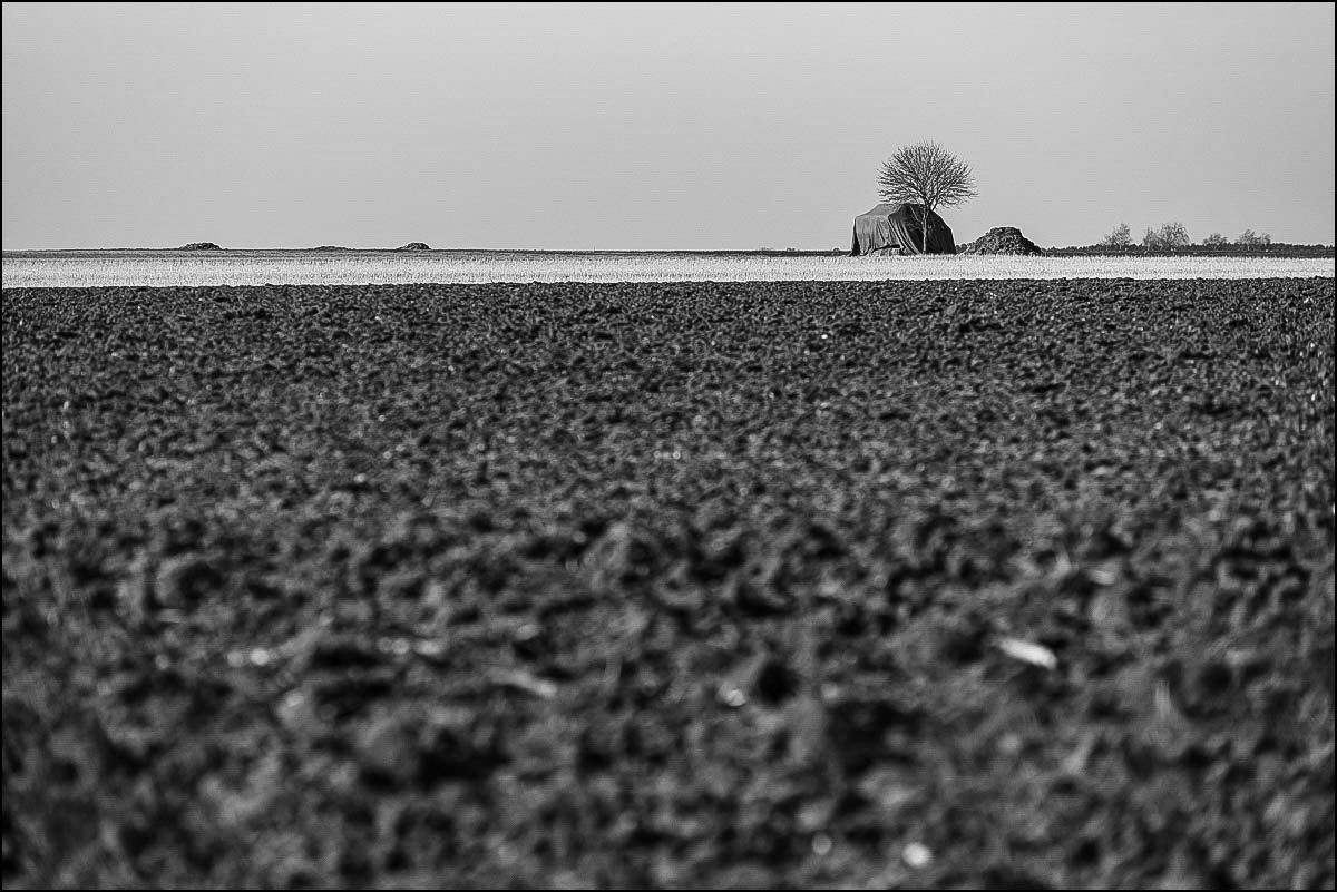 Feldmark (1 von 1).JPG