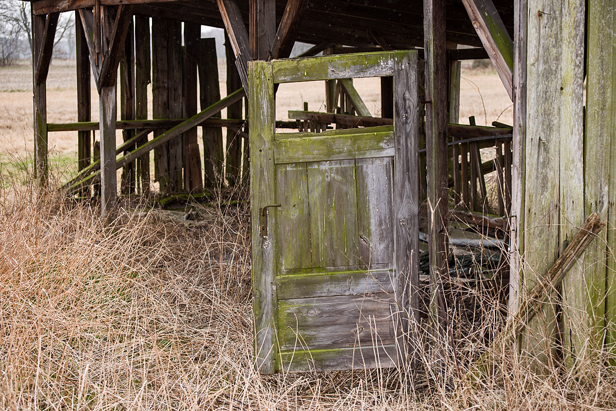 Feldstall