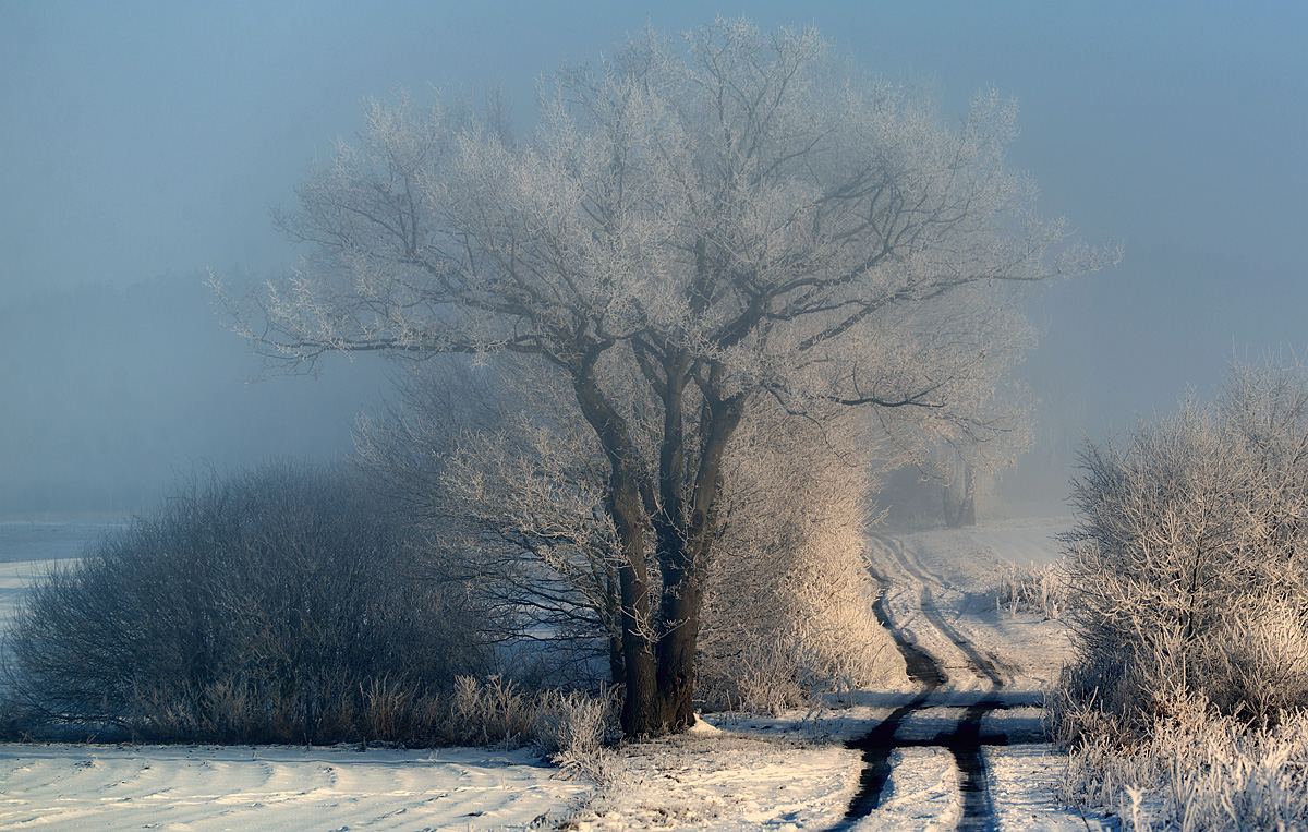 Feldweg im Winter 3