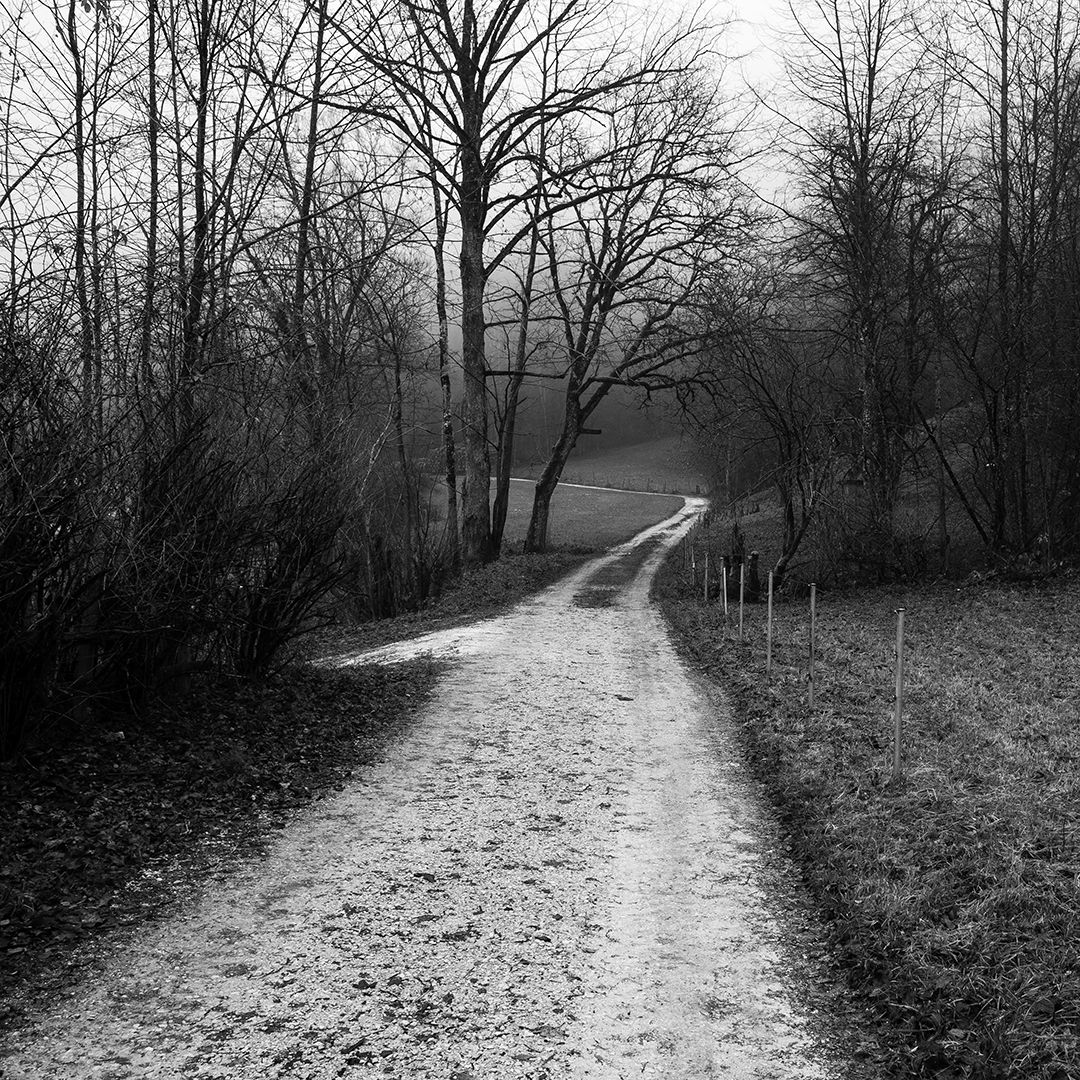 Feldweg.jpg