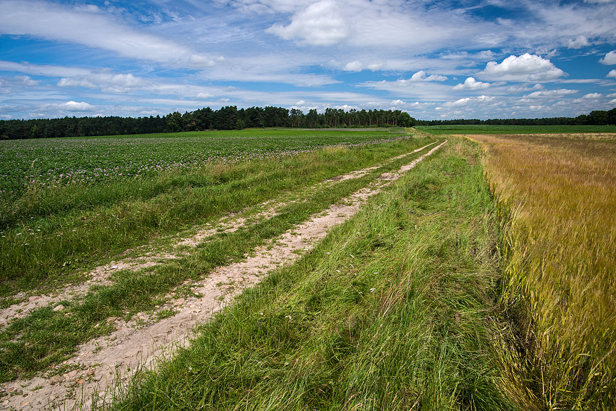 Feldweg