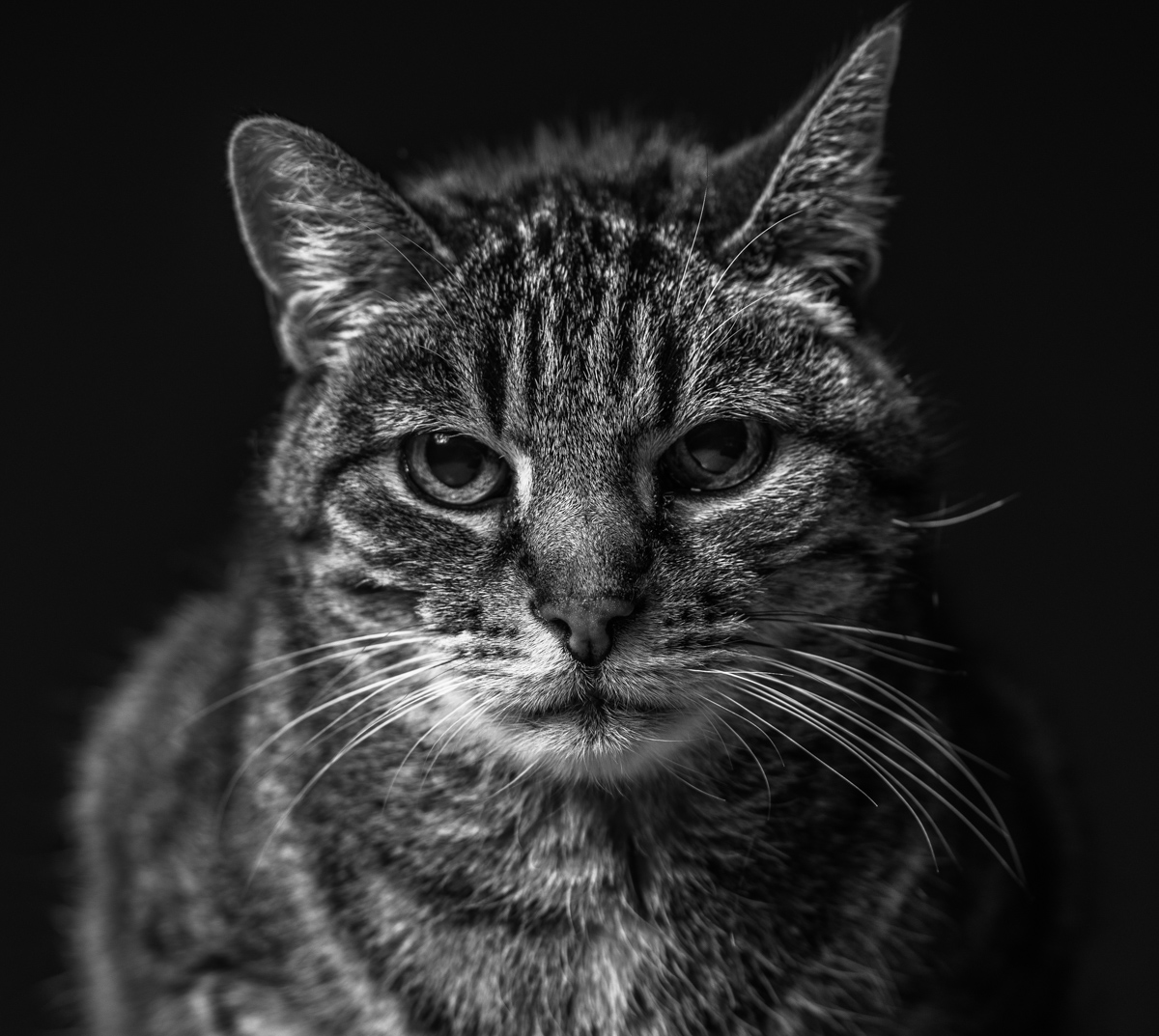 Felix