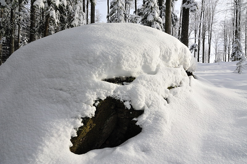 Felsen im Bay. Wald