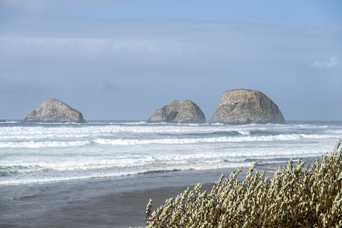 Felsen Oceanside.jpg