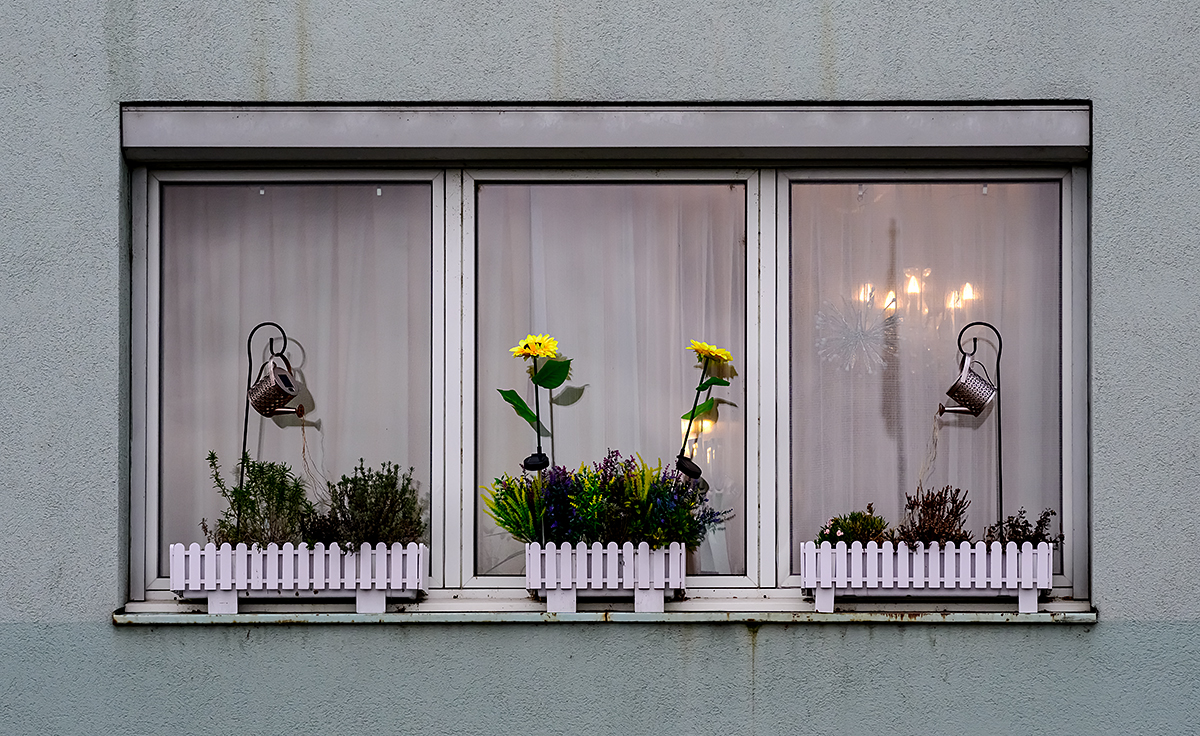 Fenster.jpg