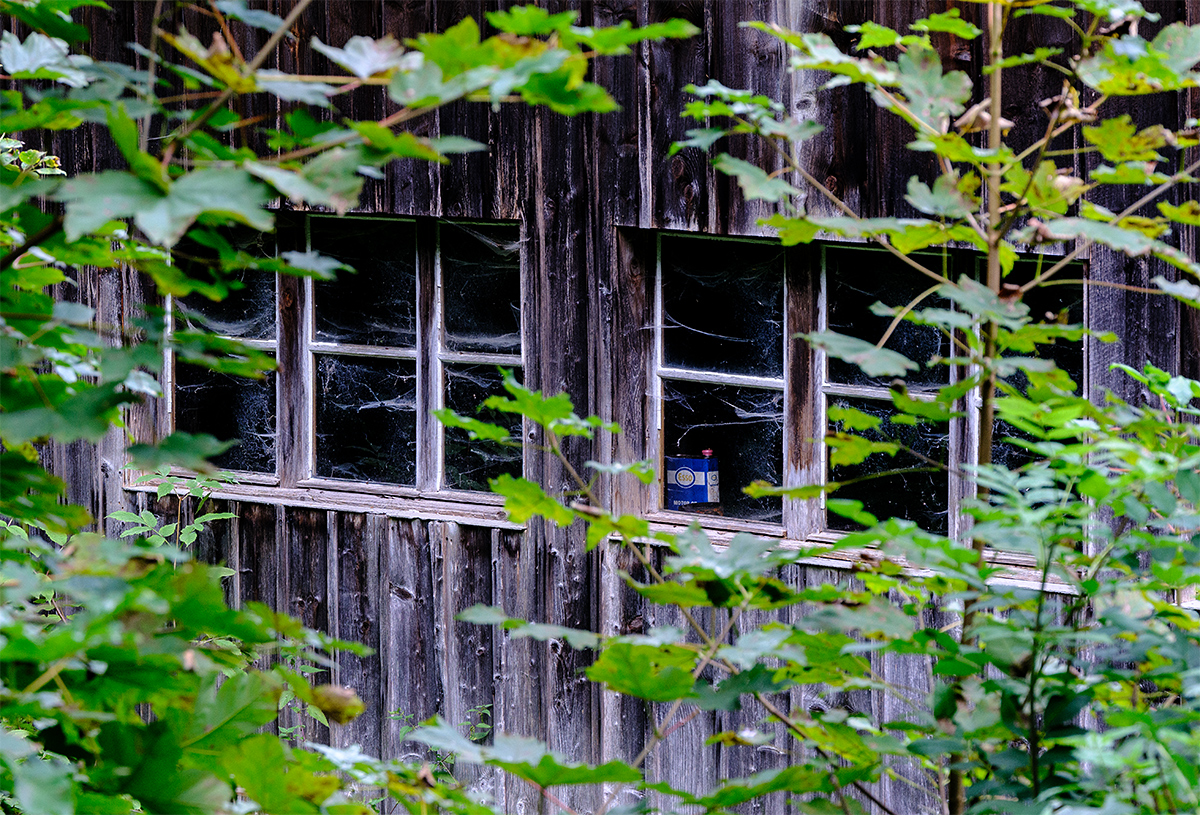 Fenster.jpg