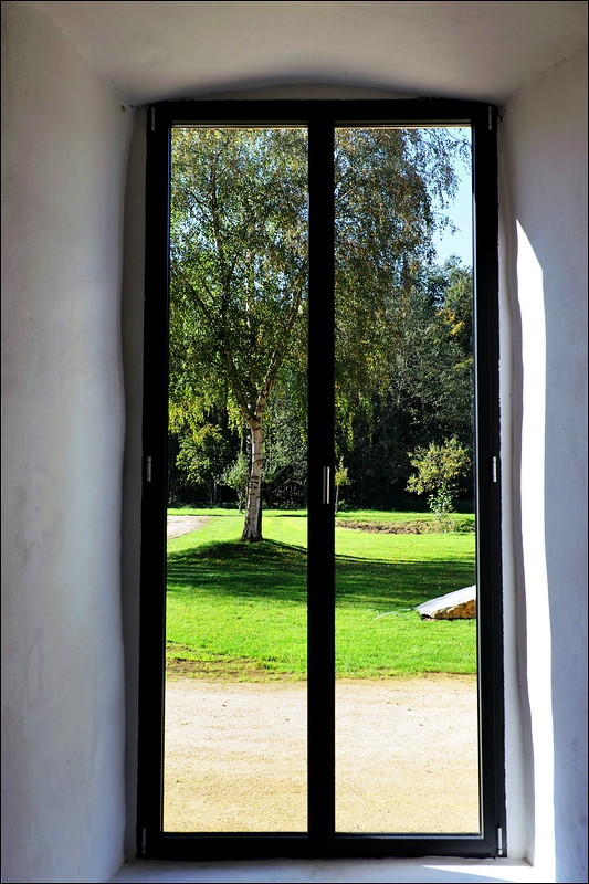 Fenster mit Birke Gravenhorst - 09.0.2010
