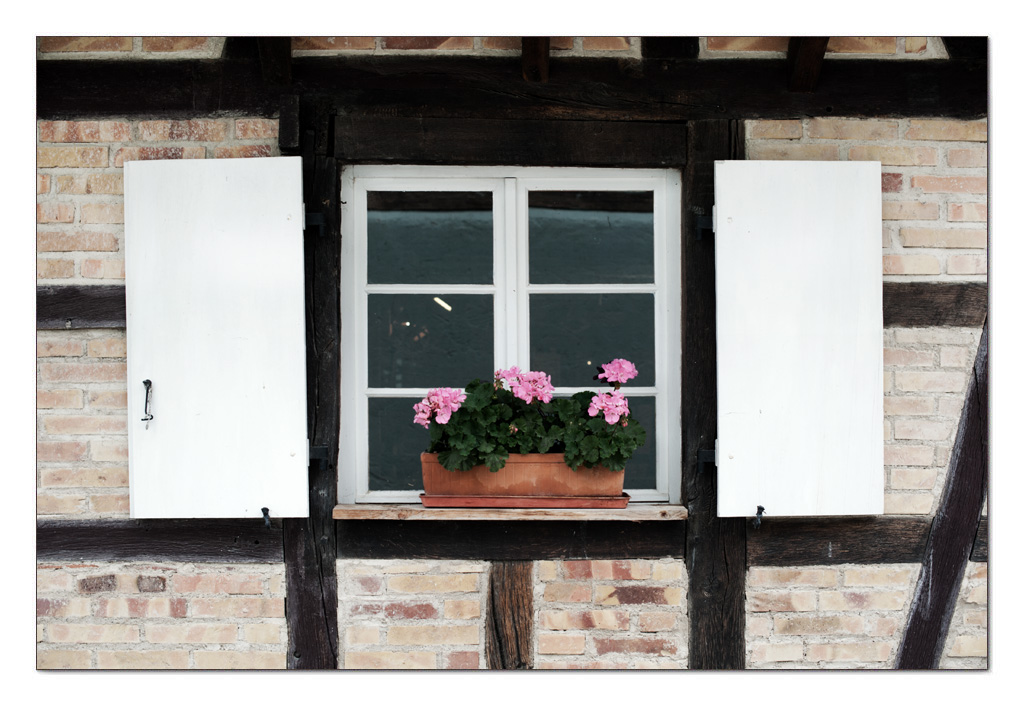 Fenster mit Laden