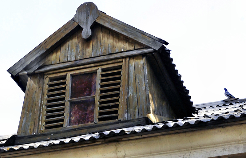 fenster mit taube