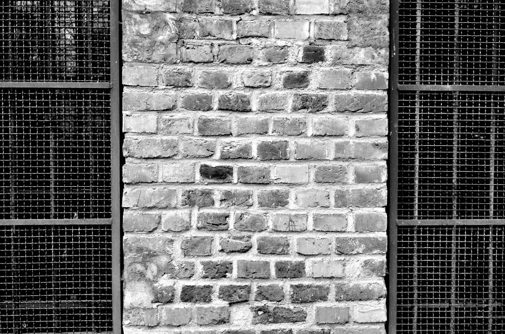 Fenster x
