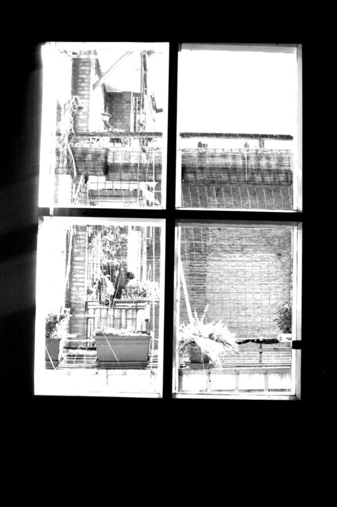 Fenster zum Hof