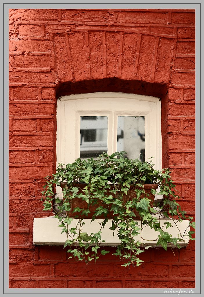 Fenster