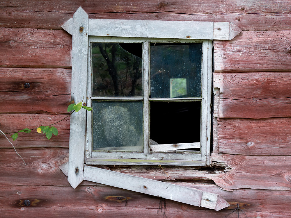 fenster