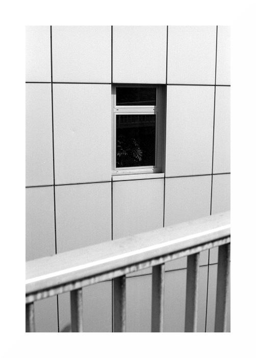 fenster