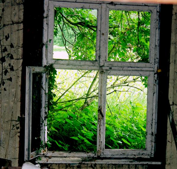 fenster