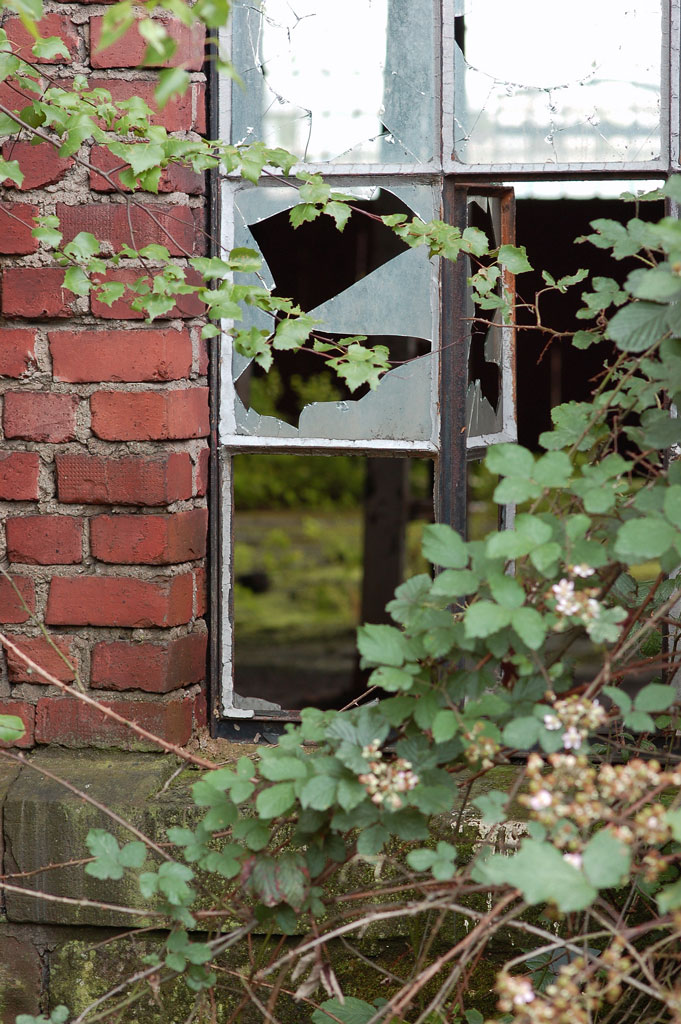 Fenster01