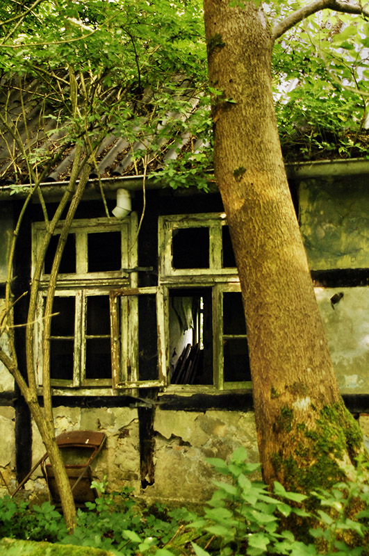 fenster1