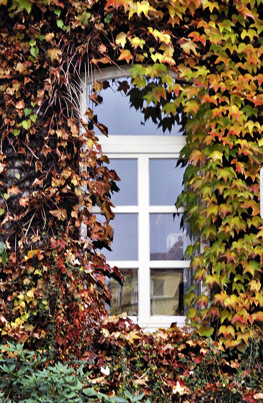 fenster4