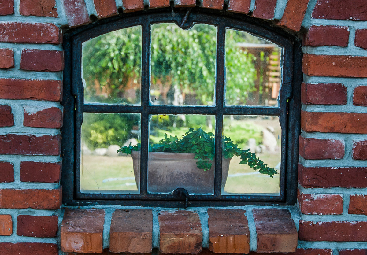Fensterblick (1 von 1).jpg