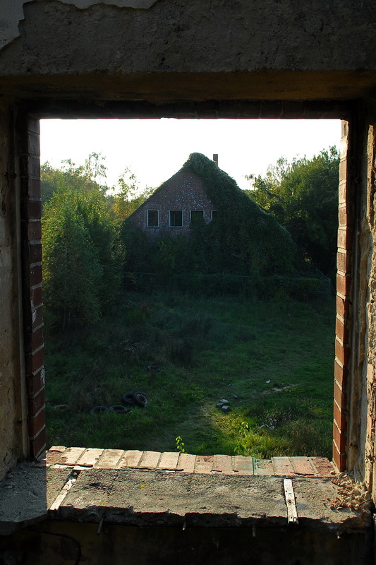 fensterx