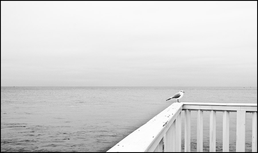 Fernweh 1bw