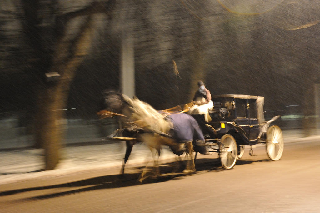 Fiaker im Wiener Prater
