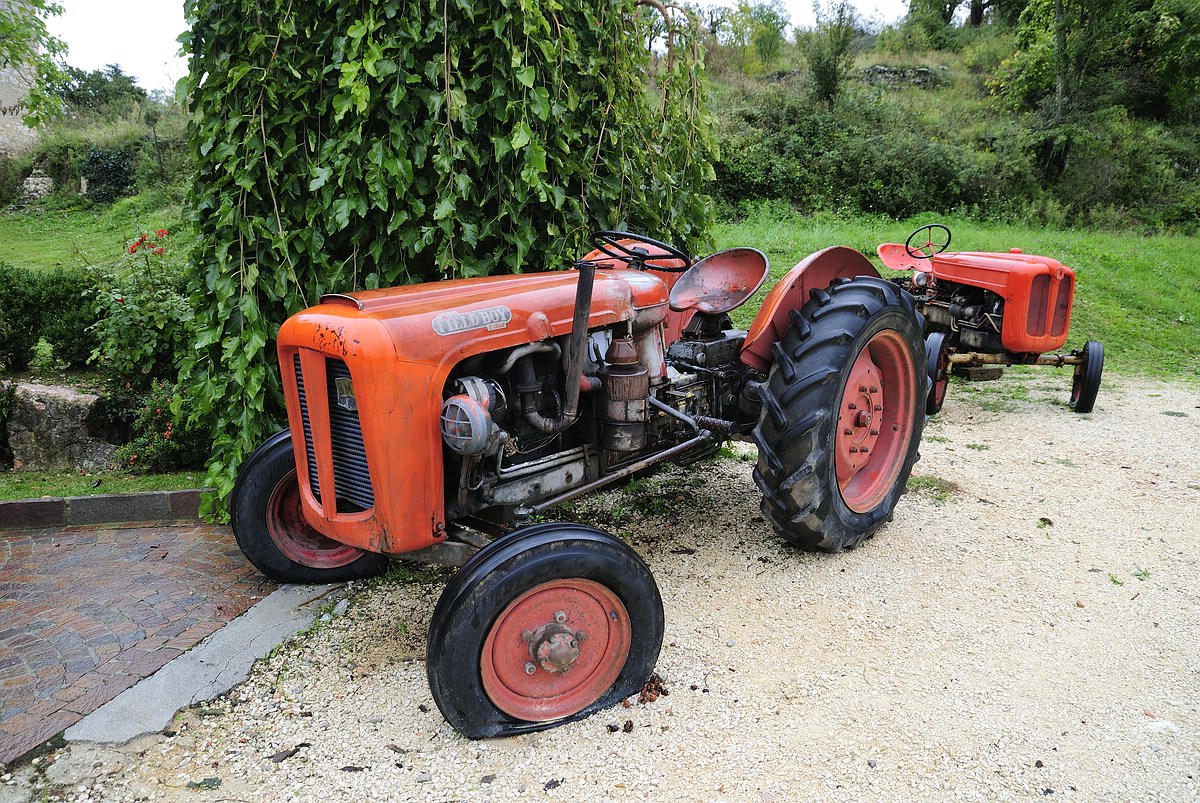 Field Boy  ESC0001 (144)