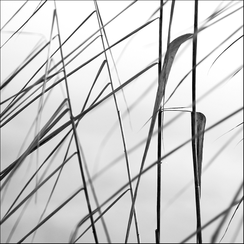 File 006