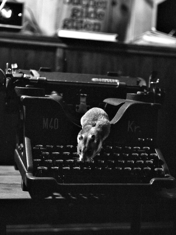 File0006 Hamster Kopie2