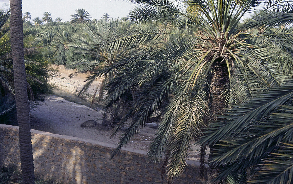 File0088.jpg