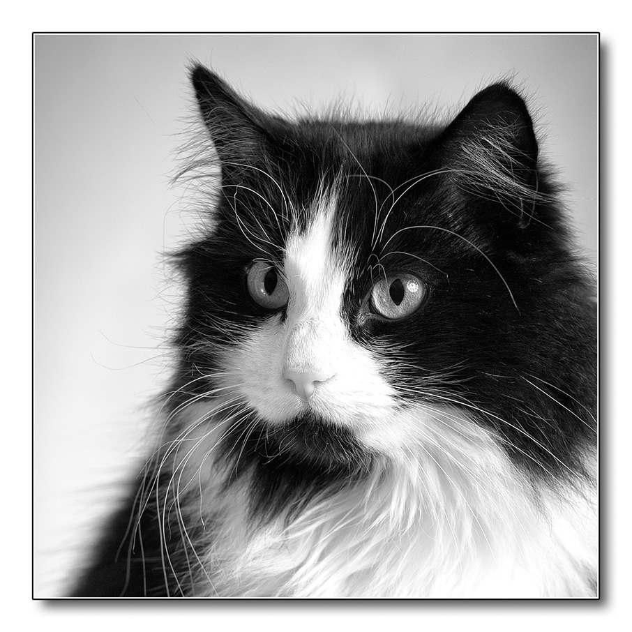 Filou9
