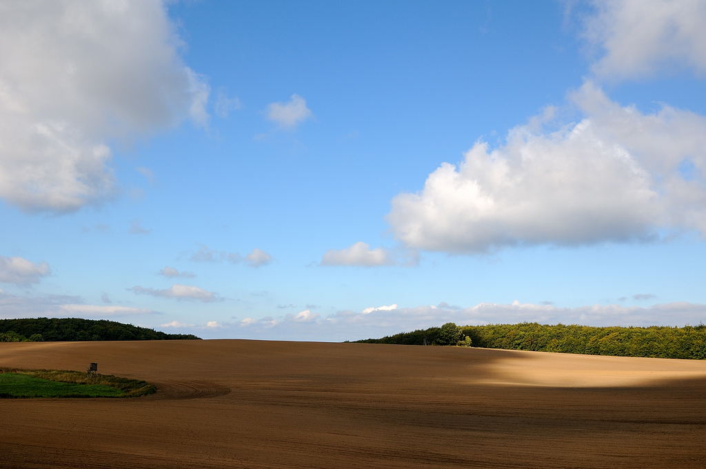 Final View