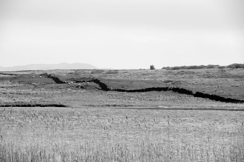 Finnlagan - Islay - Schottland