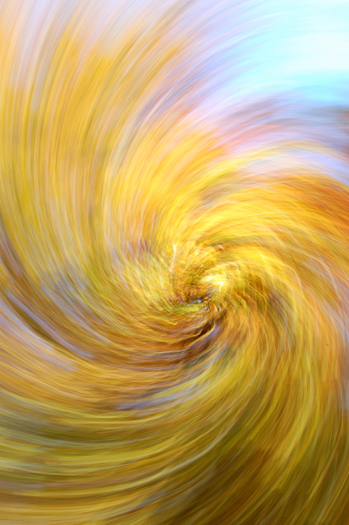 FireLeaf 4878