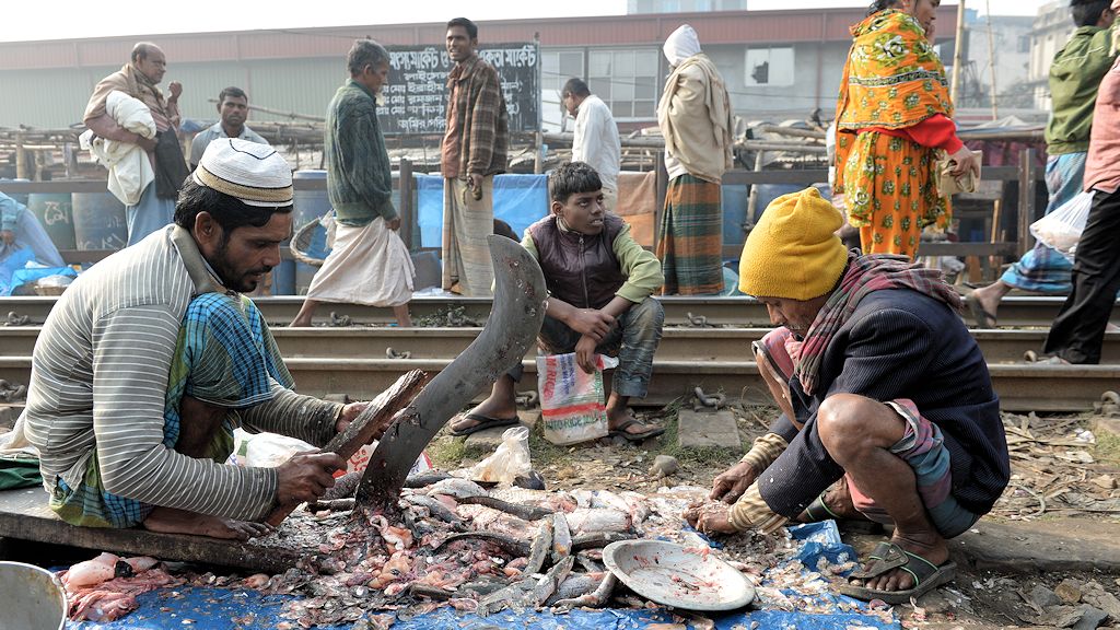 Fische werden gleich vor Ort ausgenommen
0954