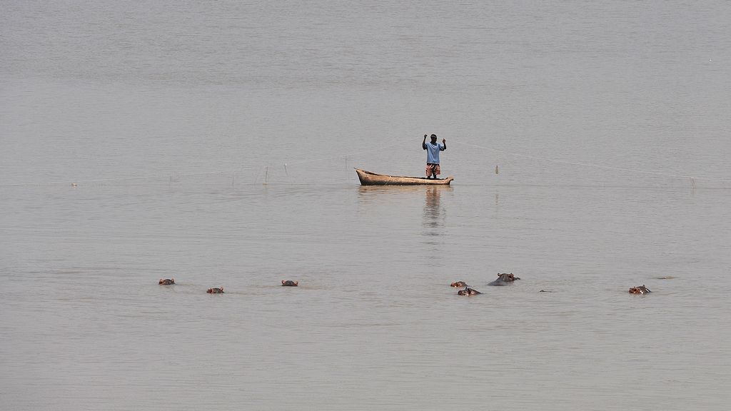 Fischer auf dem Luangwa
In der Nähe der Hippos halten sich auch gerne
die Fische auf
9063