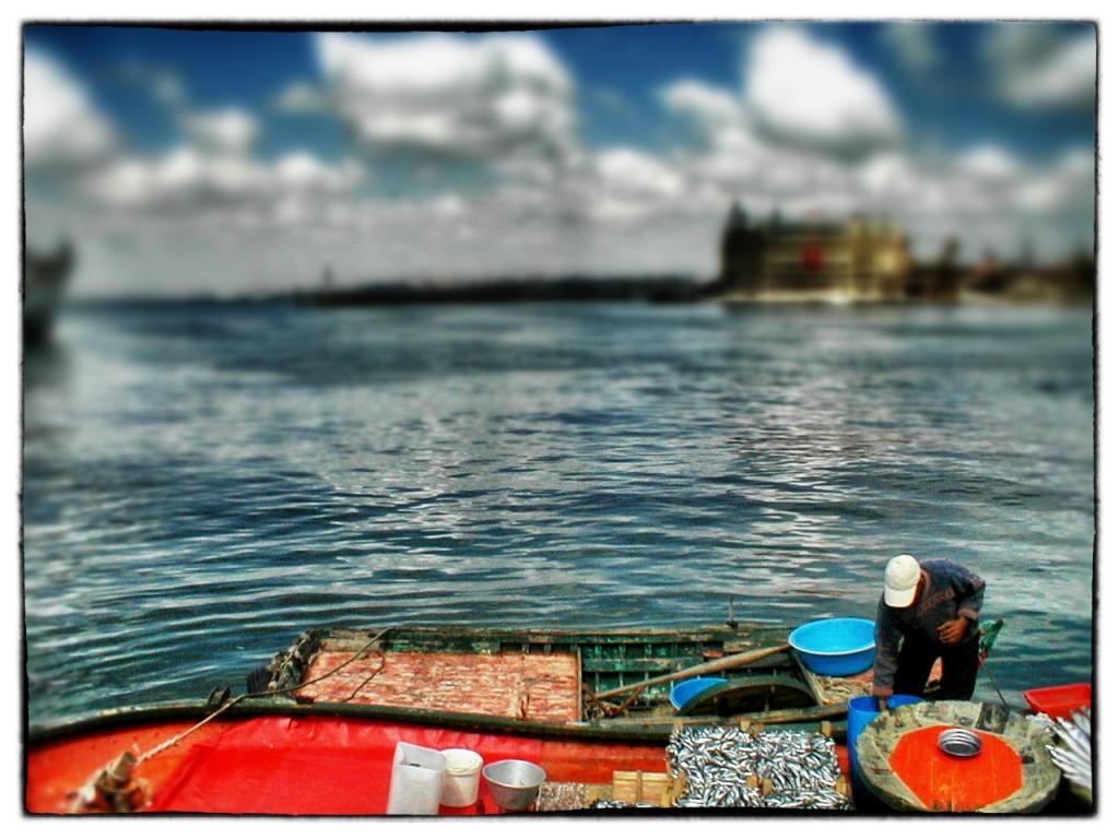 Fischer Haydarpascha