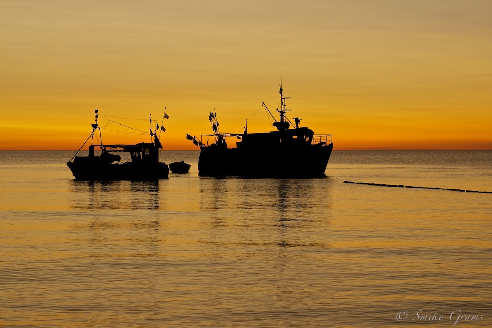 Fischerboote Hiddensee